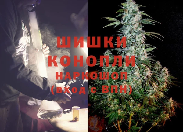 МДПВ Каменногорск