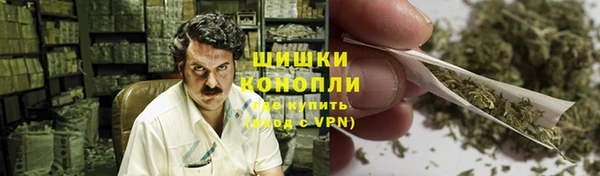 шишки Инта