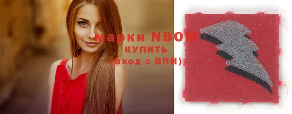 шишки Инта