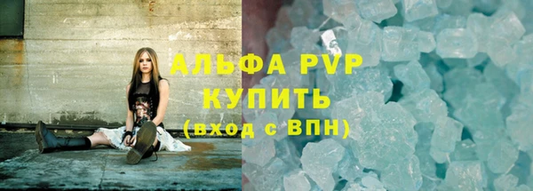 шишки Инта