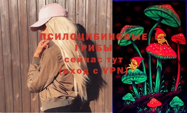 СК Каменка