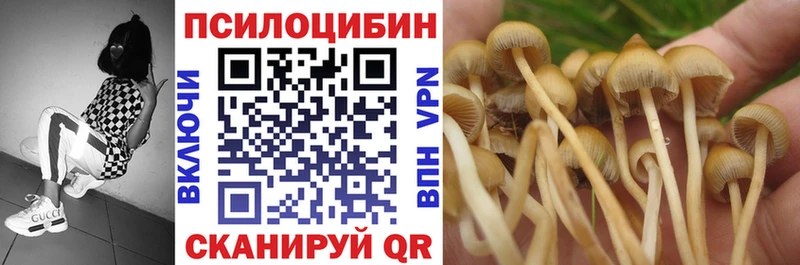 Галлюциногенные грибы Psilocybe  ссылка на мегу маркетплейс  Зима 